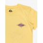 Camiseta Quiksilver Beach Blast