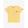 Camiseta Quiksilver Beach Blast