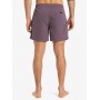 Bañador Quiksilver Everyday Solid Volley
