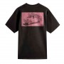 Camiseta Vans Mte Beachfront