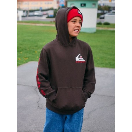Sudadera Quiksilver Omni Logo Hoodie Youth