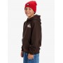 Sudadera Quiksilver Omni Logo Hoodie Youth
