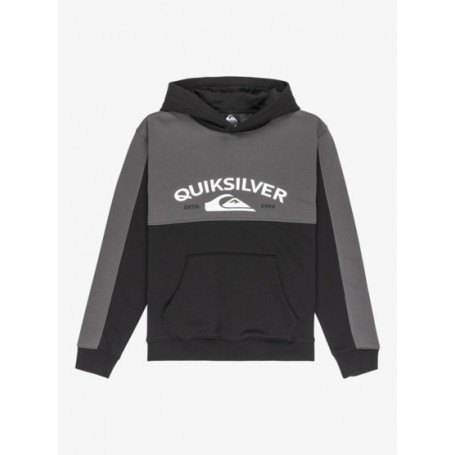 Sudadera Quiksilver Knowledge Area Hood Youth