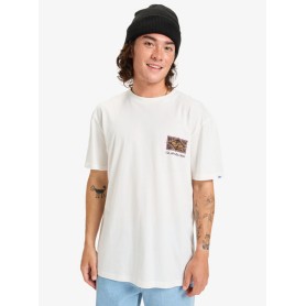 Camiseta Quiksilver Evo Youth Crisis Ss