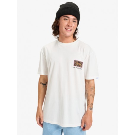 Camiseta Quiksilver Evo Youth Crisis Ss
