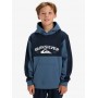Sudadera Quiksilver Knowledge Area Hood