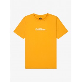 Camiseta Quiksilver Fineline