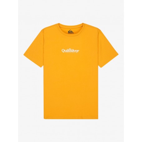Camiseta Quiksilver Fineline