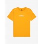 Camiseta Quiksilver Fineline