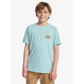 Camiseta Quiksilver Fruits