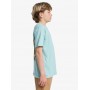 Camiseta Quiksilver Fruits