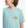 Camiseta Quiksilver Fruits
