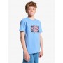 Camiseta Quiksilver Starfish