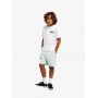 Camiseta Quiksilver Palm