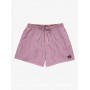 Bañador Quiksilver Everyday Surfwash Volley