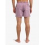 Bañador Quiksilver Everyday Surfwash Volley