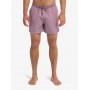 Bañador Quiksilver Everyday Surfwash Volley