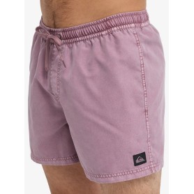 Bañador Quiksilver Everyday Surfwash Volley