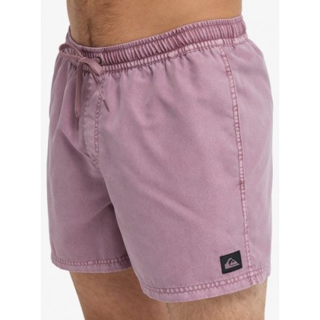 Bañador Quiksilver Everyday Surfwash Volley