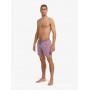 Bañador Quiksilver Everyday Surfwash Volley