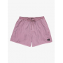 Bañador Quiksilver Everyday Surfwash Volley