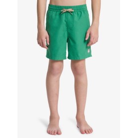 Bañador Quiksilver Everyday Volley Yth
