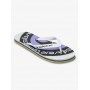 Chanclas Quiksilver Molokai