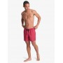Bañador Quiksilver Everyday Deluxe Volley Yth