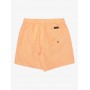 Bañador Quiksilver Everyday Deluxe Volley Yth