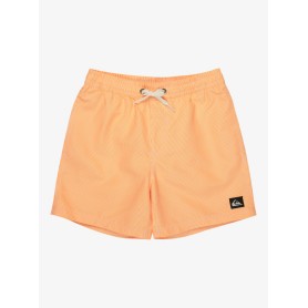 Bañador Quiksilver Everyday Deluxe Volley Yth