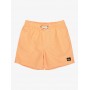 Bañador Quiksilver Everyday Deluxe Volley Yth