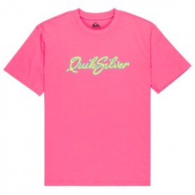 Camiseta Quiksilver Malibu Ss