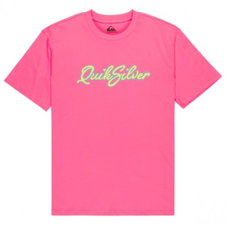 Camiseta Quiksilver Malibu Ss