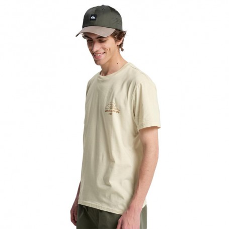 Camiseta Quiksilver Bliss Point Ss
