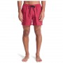 Bañador Quiksilver Everyday Deluxe Volley Yth