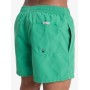 Bañador Quiksilver Everyday Volley 15