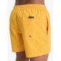 Bañador Quiksilver Everyday Volley 15