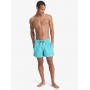Bañador Quiksilver Everyday Volley 15