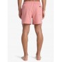 Bañador Quiksilver Everyday Flex Volley 15