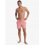 Bañador Quiksilver Everyday Flex Volley 15