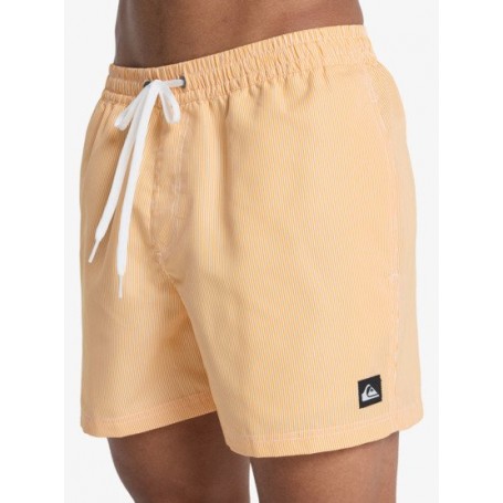 Bañador Quiksilver Everyday Deluxe Volley 15