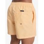 Bañador Quiksilver Everyday Deluxe Volley 15