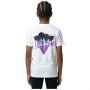 Camiseta Vans Palm Drive