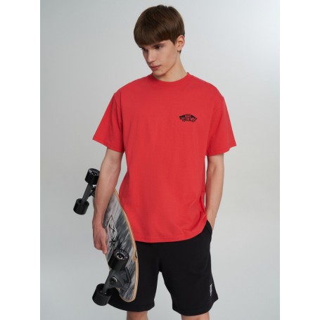 Camiseta Vans Double Standard