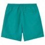 Bañador Carhartt Island Swim Trunks